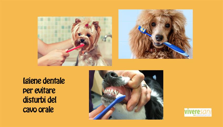 Igiene dentale anche per i cani?